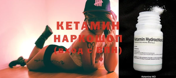 гашик Пересвет